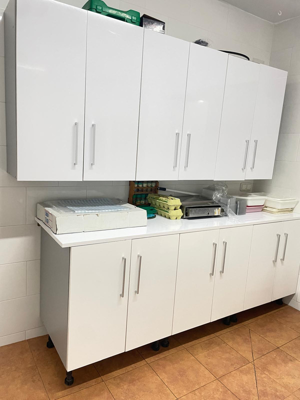 Carnicería Mercedes Cuadros Vivo 17